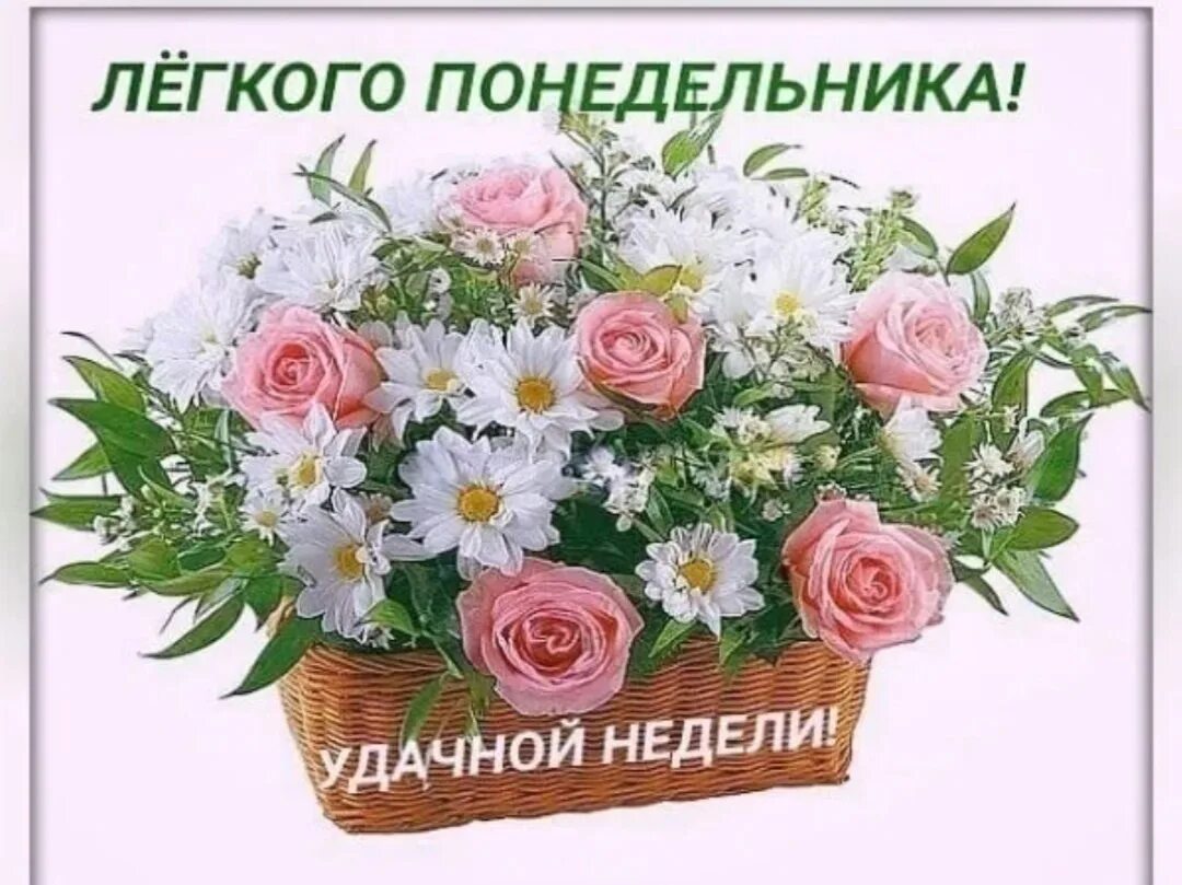 Хорошего понедельника лето картинки