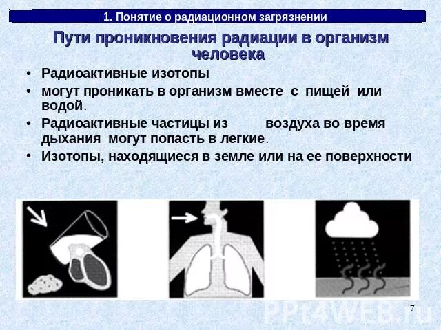 Защита от загрязнения радиоактивными частицами. Пути проникновения радиоактивных веществ в организм человека. Пути проникновения радиоактивного излучения в организм человека. Радиоактивное вещества проникают в организм человека. Пути проникновения в легкие.