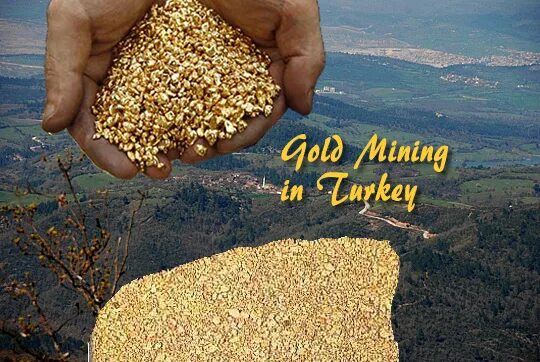 Mine turkey. Kifaru Gold Mining location Tanzania.