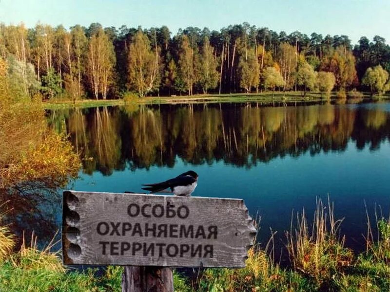 Особо охраняемые природные территории. Особо охраняемая природная территория. Особоозраняемые природные территории. Особоохроняемые природные территории.