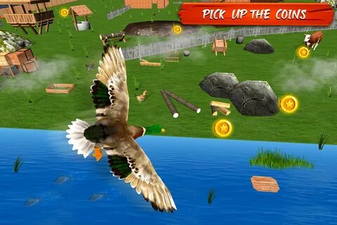 Duck simulator