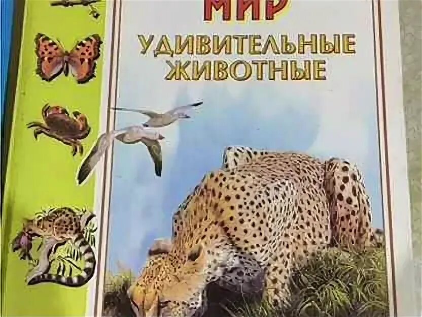 Природа удивительная энциклопедия. Детская книга удивительный мир животных. Дневник peony проф пресс. Удивительный мир энциклопедий. Удивительный предметный мир картинки.