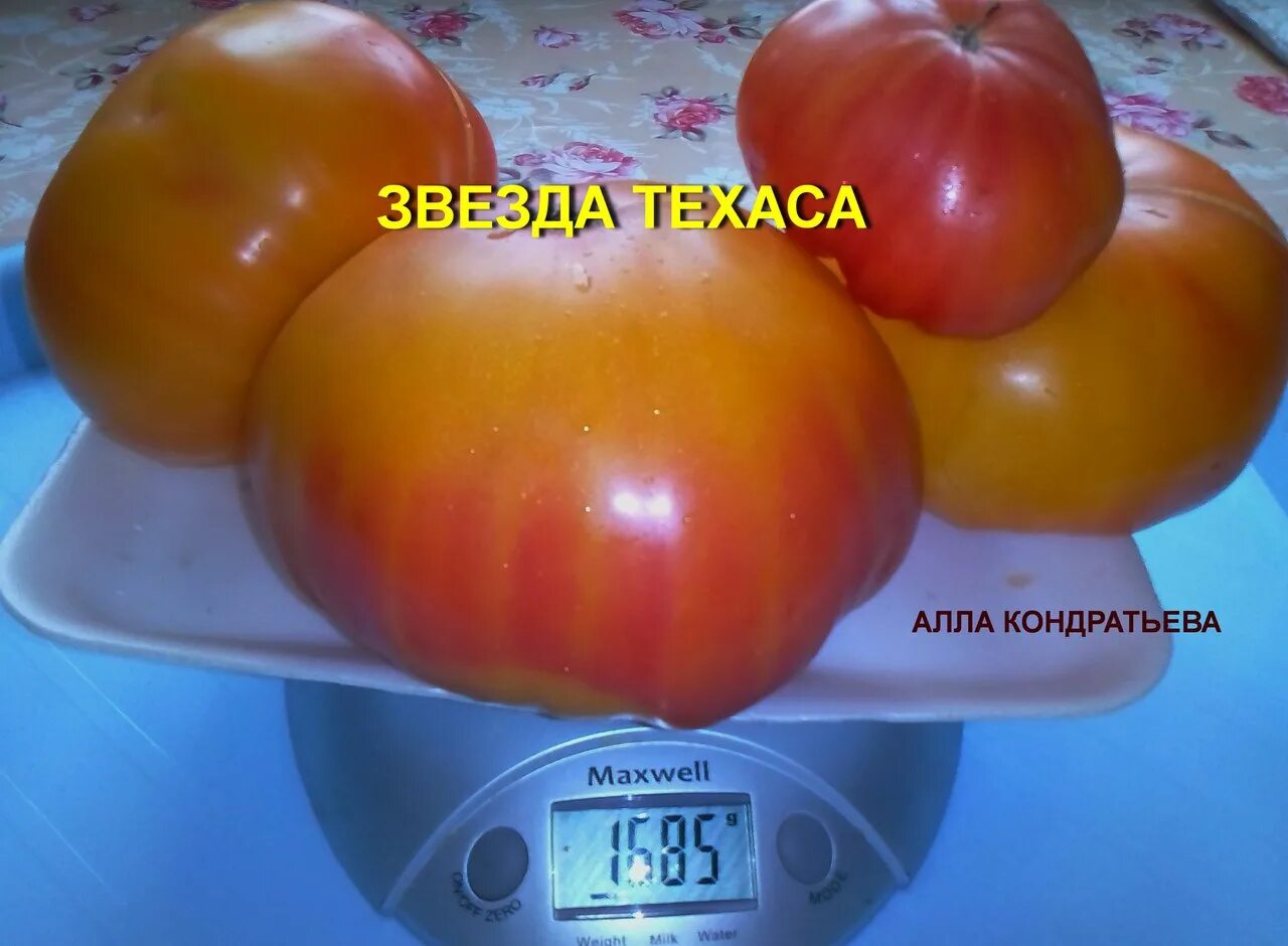 Томат звезда востока f1 10 шт. Томат звезда характеристика и описание сорта. Томат рубиновое сердце аэлита. Томат петр первый 0,1г гавриш. Томат израиль.