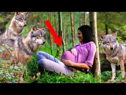 Рожденная лесом
