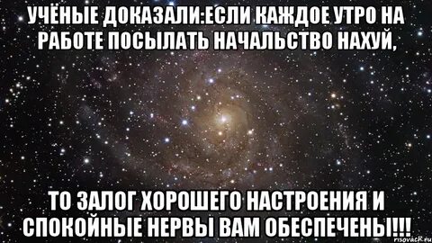 Отправь свету