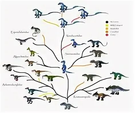 Эволюционное Древо. Дерево эволюции игра. Эволюционное дерево животных. Эволюционное Древо динозавров.