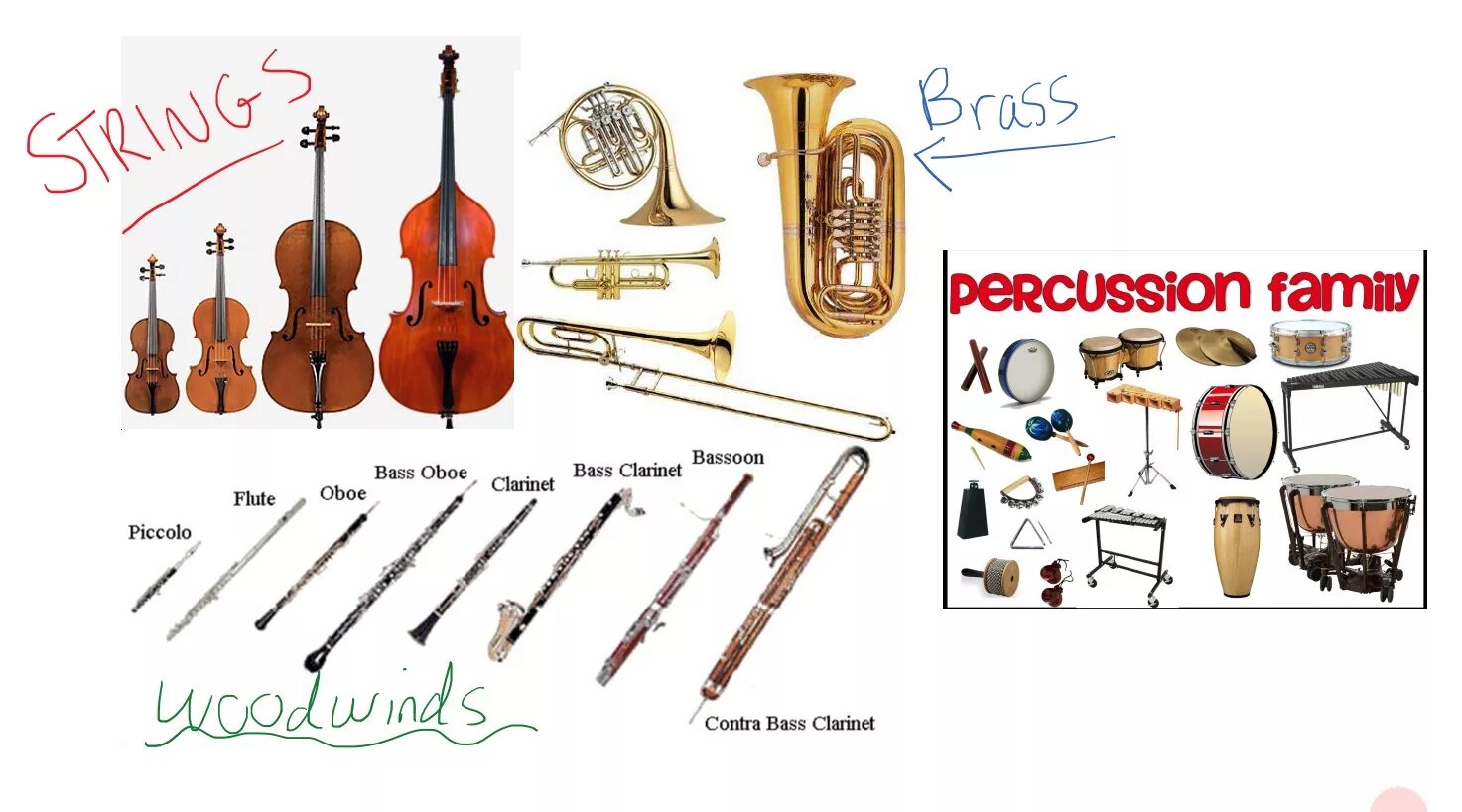 Orchestra instruments. String instruments Brass instruments. Orchestra instruments names. Symphonic Orchestra Brass instruments. Percussion instruments and Wind instruments.