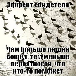 Эффект очевидца
