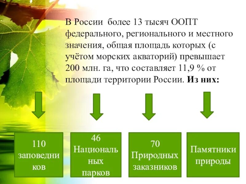 Особо охраняемые природные территории россии презентация 8. Особо охраняемые территории России презентация. ООПТ презентация. Особо охраняемые территории презентация. ООПТ России презентация.