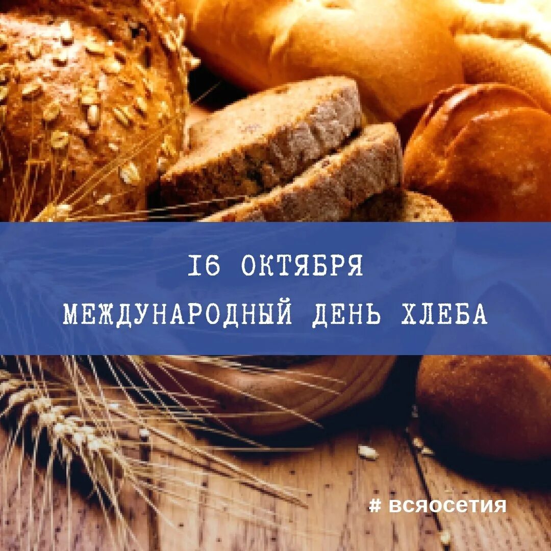 Где 16 октября. День хлеба. 16 Октября день хлеба. Международный день хлеба. Всемирный день хлеба открытки.