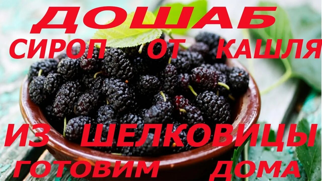 Дошаб из шелковицы полезные свойства. Дошаб от кашля из шишек. исламский сироп из тутовника.