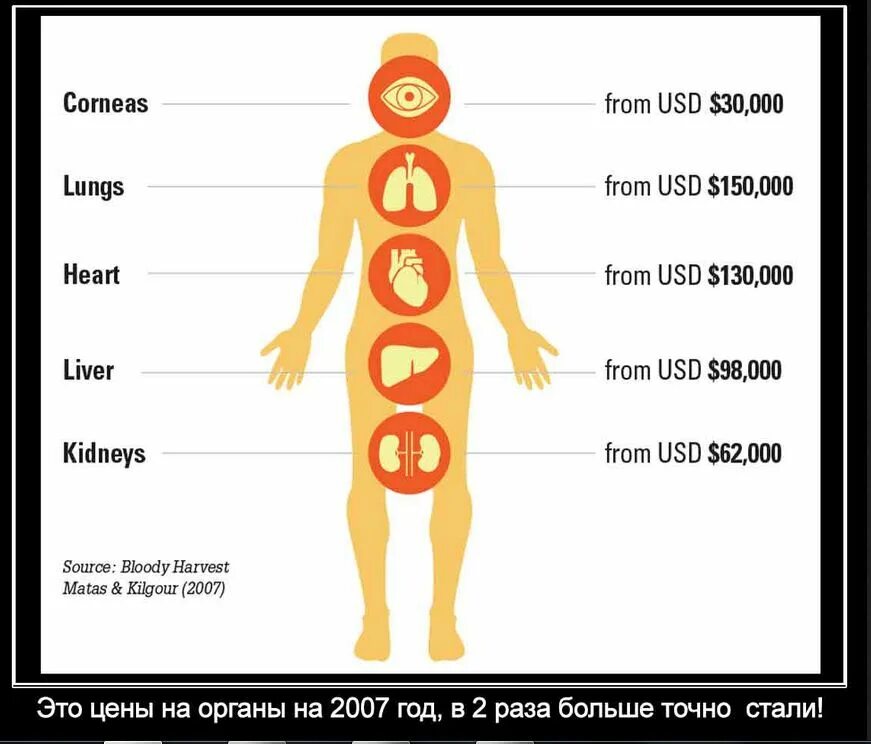 Самый дорогой орган человека. Органы человека на черном рынке. Торговля людьми органы.