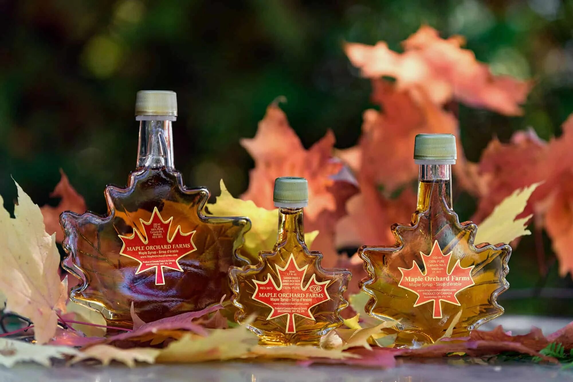 Есть кленовый сироп. Кленовый сироп maple syrup. кленовый сироп канада. кленовый сироп густой. день кленового сиропа.