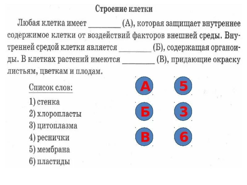 Впр биология 8 класс 2024 анатомия. ВПР биология 6 класс. Биология 6 класс 2018г. Шпаргалки для ВПР по биологии 6 класс. ВПР по биологии 6 класс 1 часть.