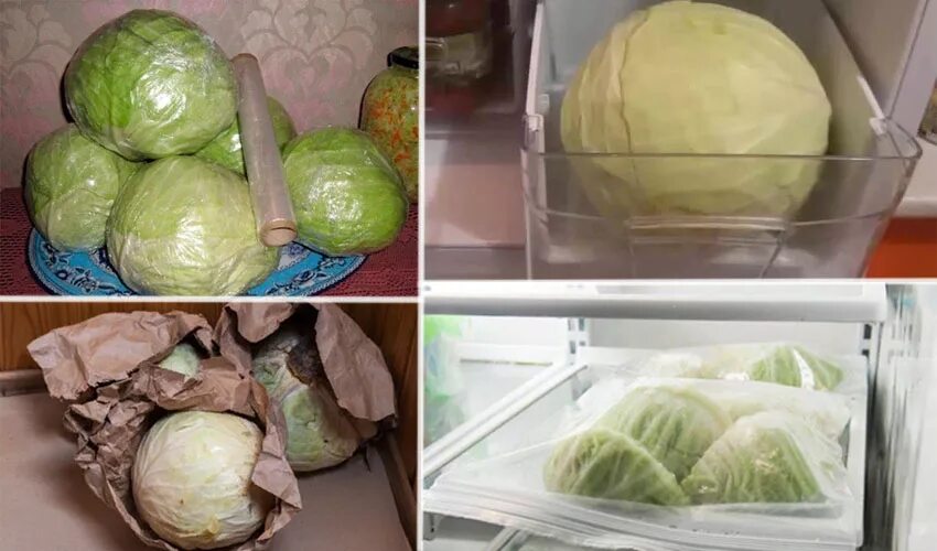 Можно хранить капусту в холодильнике
