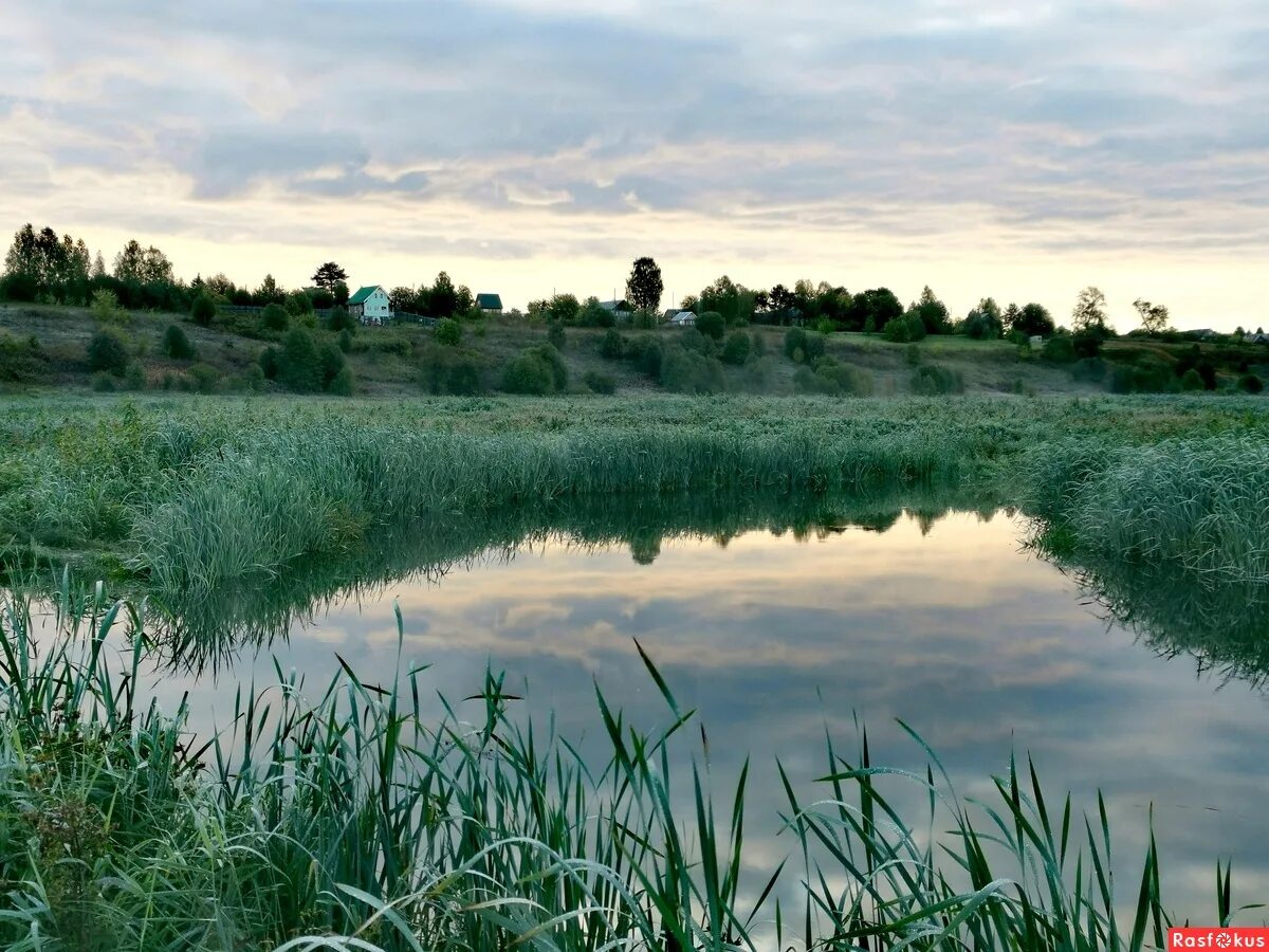 дом рыбака красноярск. озерцо терешково. иланский озеро таежное. озеро в гнездово тверская область. ленинка деревня пруд.