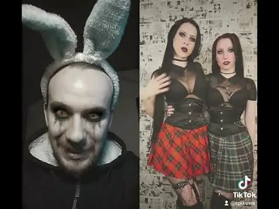 Роки рабит. Роки рабит
