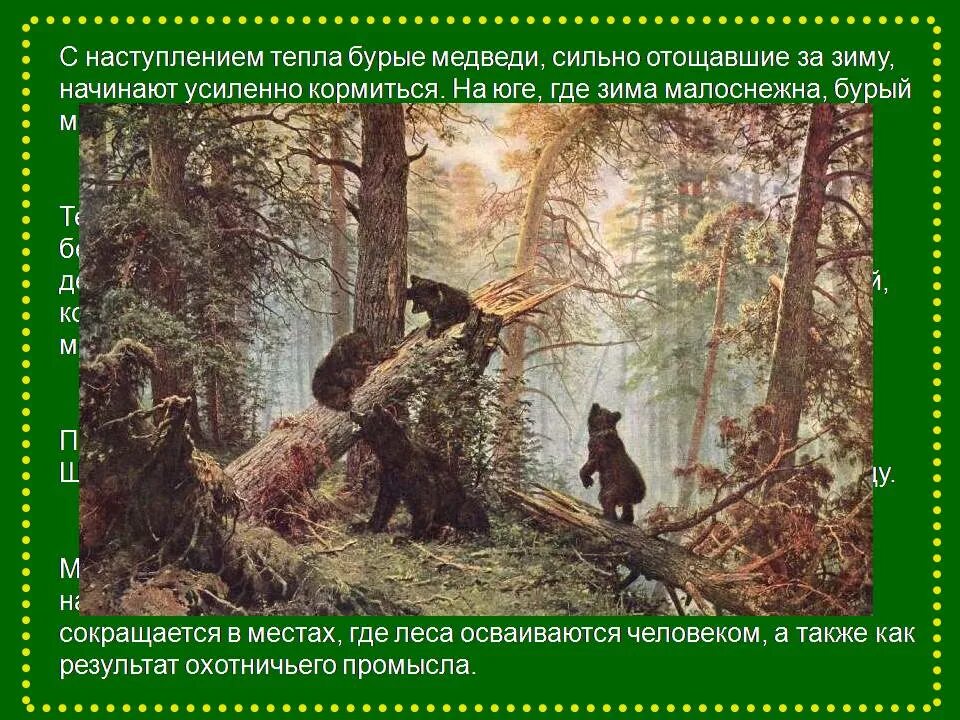 Медведь огэ. Медведь огэ