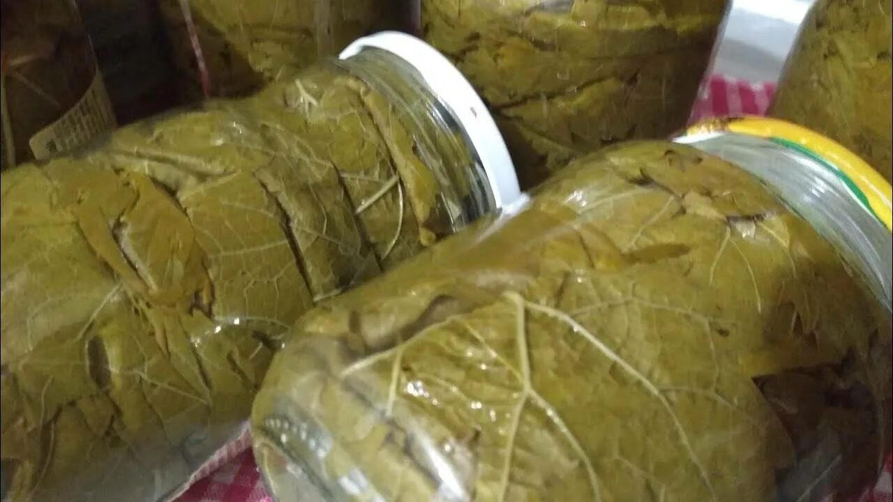 Как хранить долму