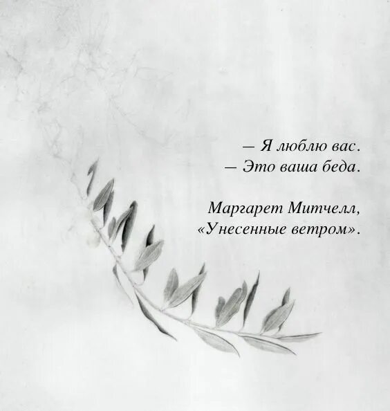 Ветер цитаты из книг. Маргарет митчелл цитаты. унесенные ветром книга цитаты. цитаты из книги унесенные ветром маргарет митчелл. маргарет митчелл унесенные ветром.