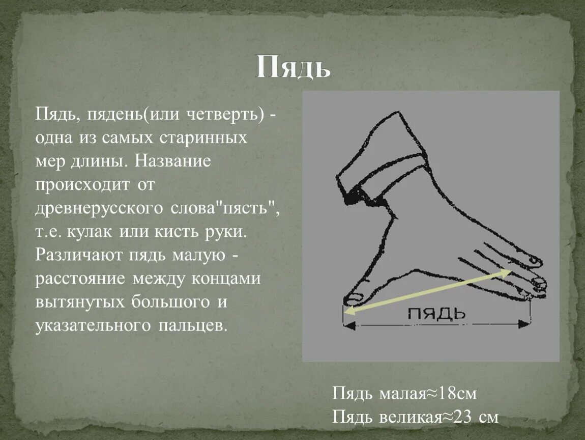 Какие плоды длиною в пядь. Старинная мера пядь. Старинные меры длины пядь. Старинные меры длины на Руси. Меры длины на Руси пядь.