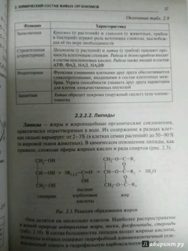 Материалы для огэ по биологии. Справочный материал по биологии огэ. справочный материал огэ биология. справочные материалы биология оге. справочные материалы для огэ по биологии.