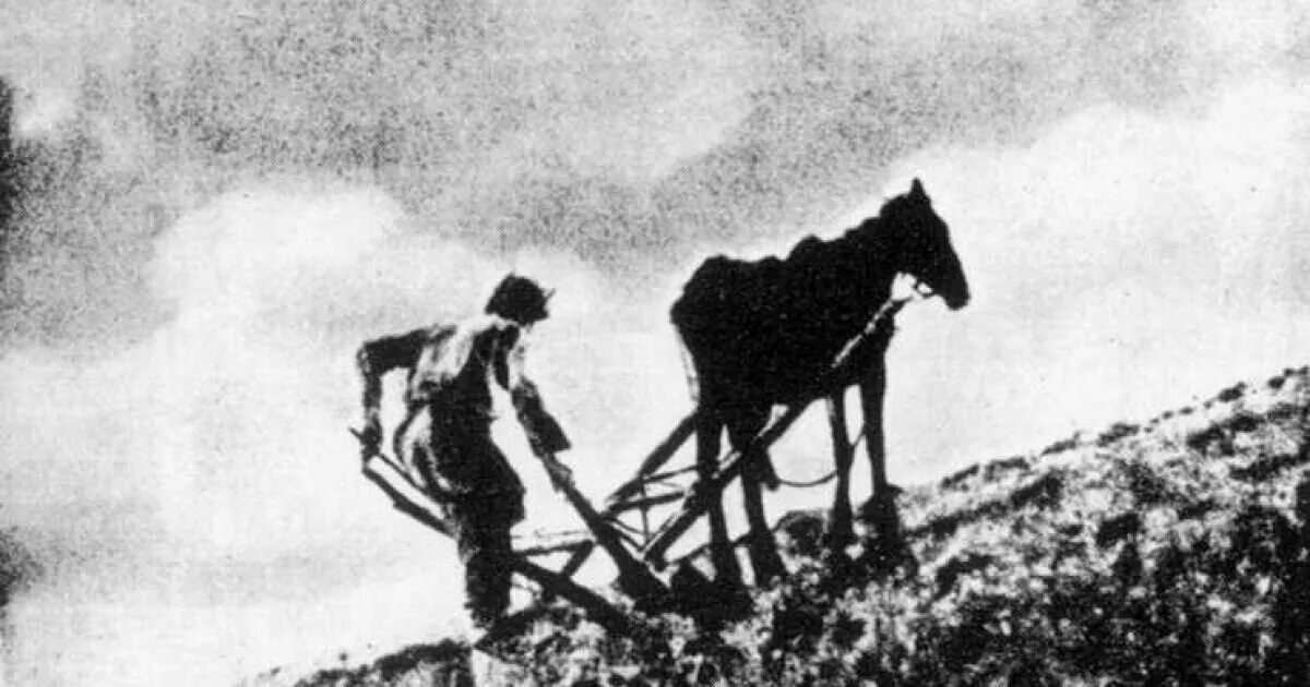 Голод 1946-1947 фотохроника. Засуха 1946 год. Засуха 1946 год. Засуха 1946 год. Послевоенный голод в ссср 1946-47 годов.