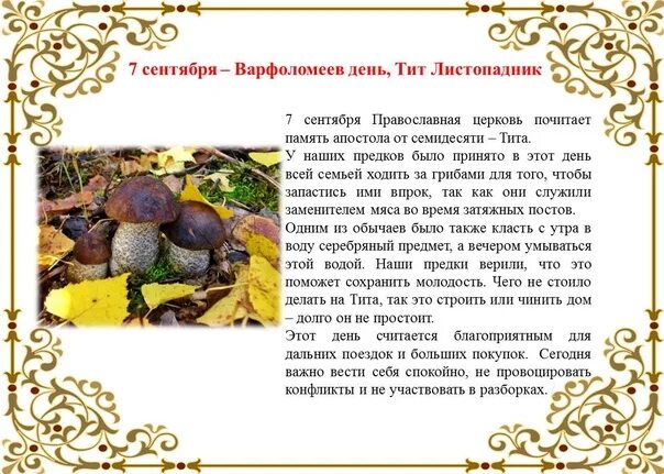 Какой зз 7 октября. 7 октября зз. начало октября зз. 27 октября зз. 8 октября зз.