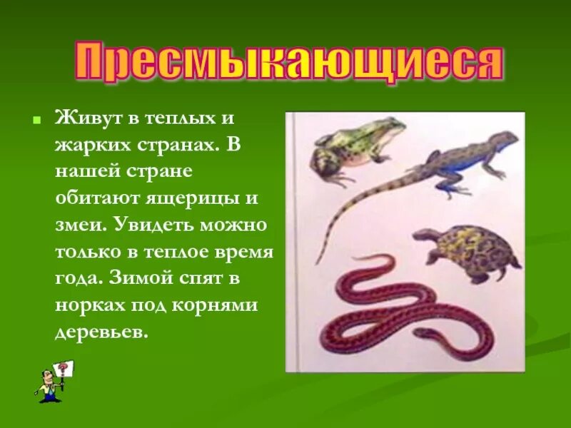 Сообщение о пресмыкающихся 2 класс окружающий мир. Класс земноводные класс пресмыкающиеся. доклад о пресмыкающихся животных. презентация на тему пресмыкающие. презентация про пресмыкающихся.