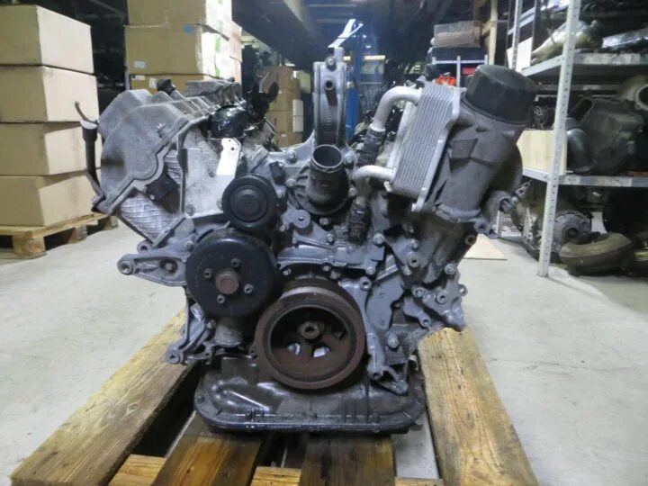 113 мотор мерседес 5. 113 мотор мерседес 5. Mercedes-benz m113 engine. Двигатель 113 мерседес 5. 113 мотор мерседес.