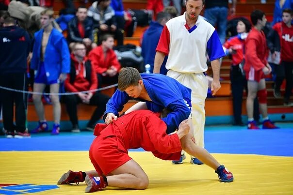 Кубок губернатора ярославской области по самбо. Кубок губернатора ростовской области по самбо 2022. Кубок губернатора ростовской области колос. Кубок губернатора ярославской области по самбо. Кубок губернатора по самбо.