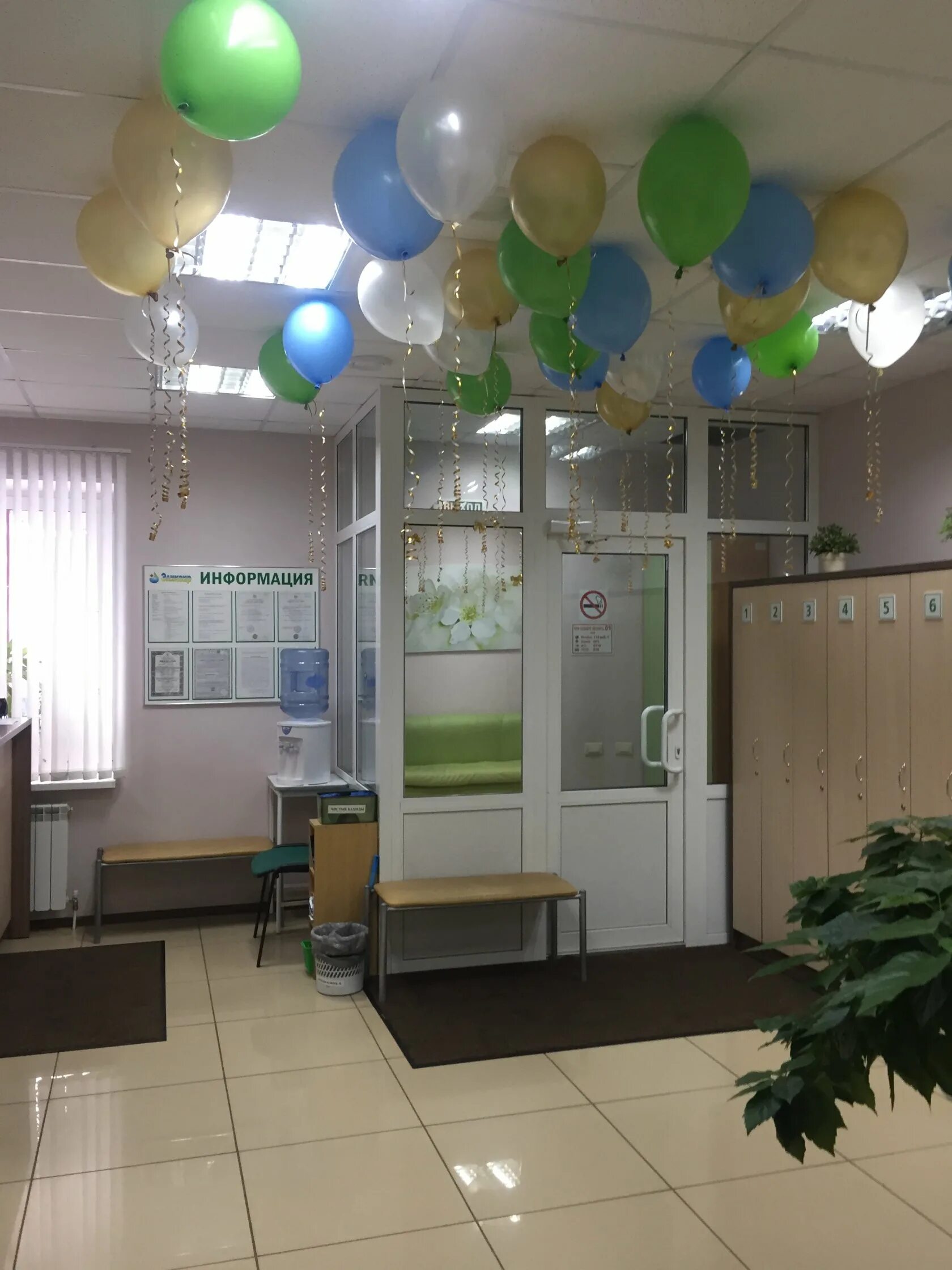 Эликсир череповец медицинский. Эликсир череповец медицинский