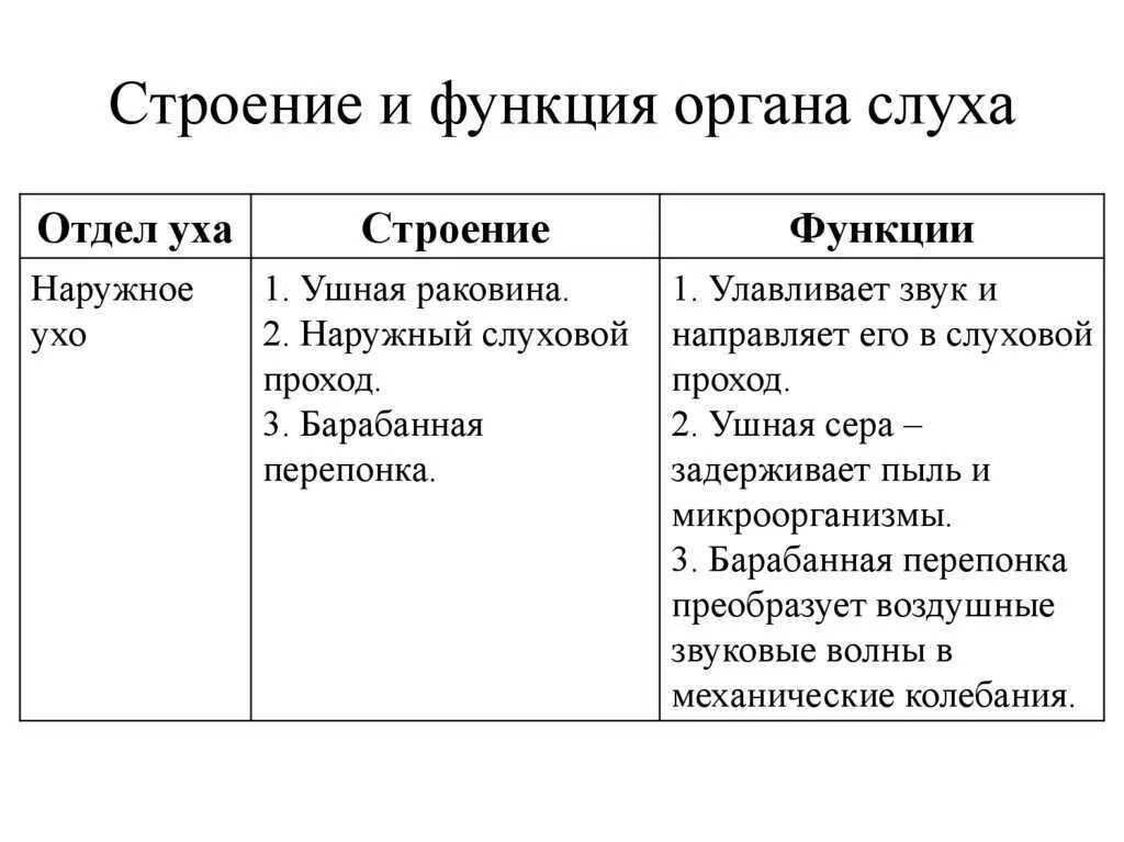 Среднее и внутреннее ухо функции. Наружное ухо отдел строение функции. Структура и функции наружного среднего и внутреннего уха. Строение и функции наружного среднего и внутреннего уха. Строение наружного уха человека функции.