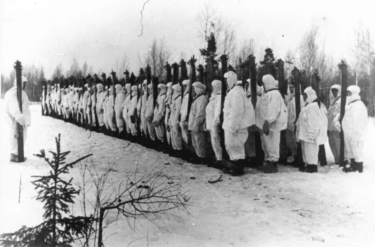 Призрак великой финляндии. Лыжная бригада в великой отечественной войне 1941. 29 отдельная новосибирская лыжная бригада. лыжный батальон война 1941. лыжный батальон 1942.