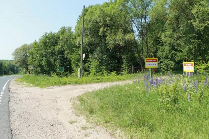 Молотицы платная рыбалка. Платная рыбалка в Молотицах Муромского района. Платник в Молотицах. Платная рыбалка Владимирская область . Молотицы. Погода молотицы муромский