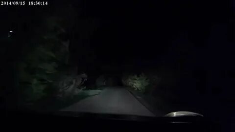 В парке в полной темноте