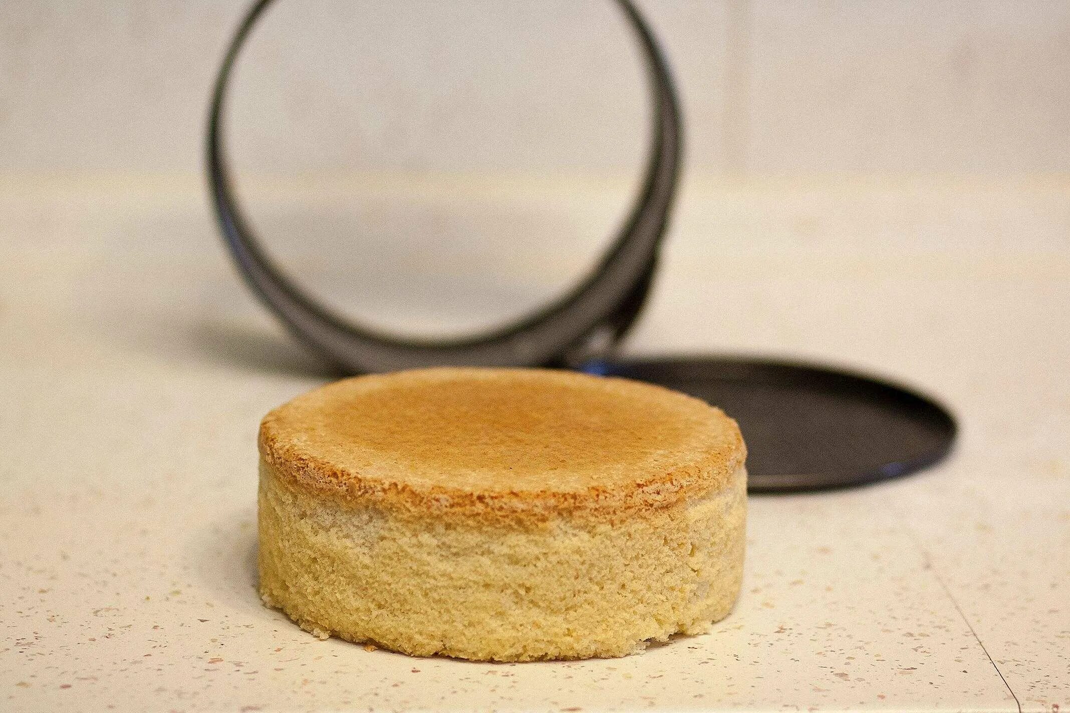 Бисквит без кольца. Бисквит. Бисквит классический. Форма для бисквита. Пористый бисквит для торта.