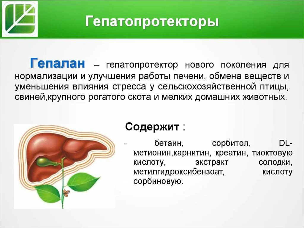 Гепатопротекторы лечение. Гепатопротекторы. Гепатопротекторы препараты для КРС. Гепатопротектор для печени. Гепатопротекторы при циррозе печени.