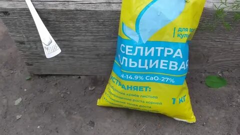 Кальциевая селитра для огурцов