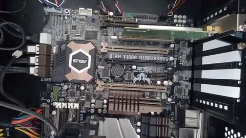 Sabertooth 2.0