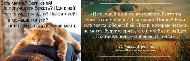 Идешь идти бежишь бежать ползешь ползти. В направлении мечты. Лежи в направлении мечты. Лежать в направлении мечты. Ляг и лежи в направлении.