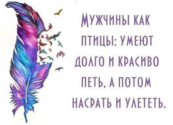 Птицы не умеют петь. Мужчины как птицы. Мужики как птицы. Мужчины как птицы умеют долго. Некоторые мужчины как птицы.