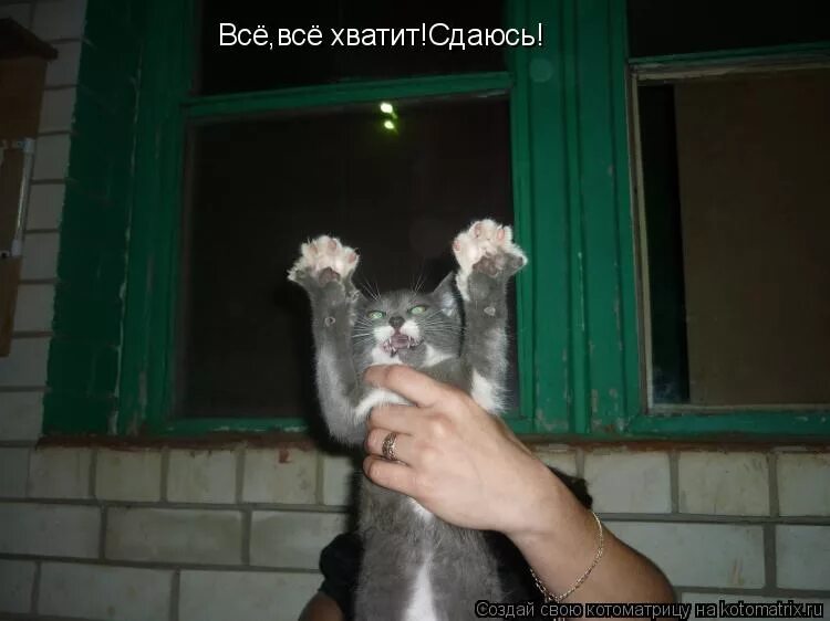 сдать хватать. хватит цитаты. ночью наши ученые чуть-чуть. хватит это терпеть жириновский мем. хватит слать мне счета за коммуналку мне неприятно.