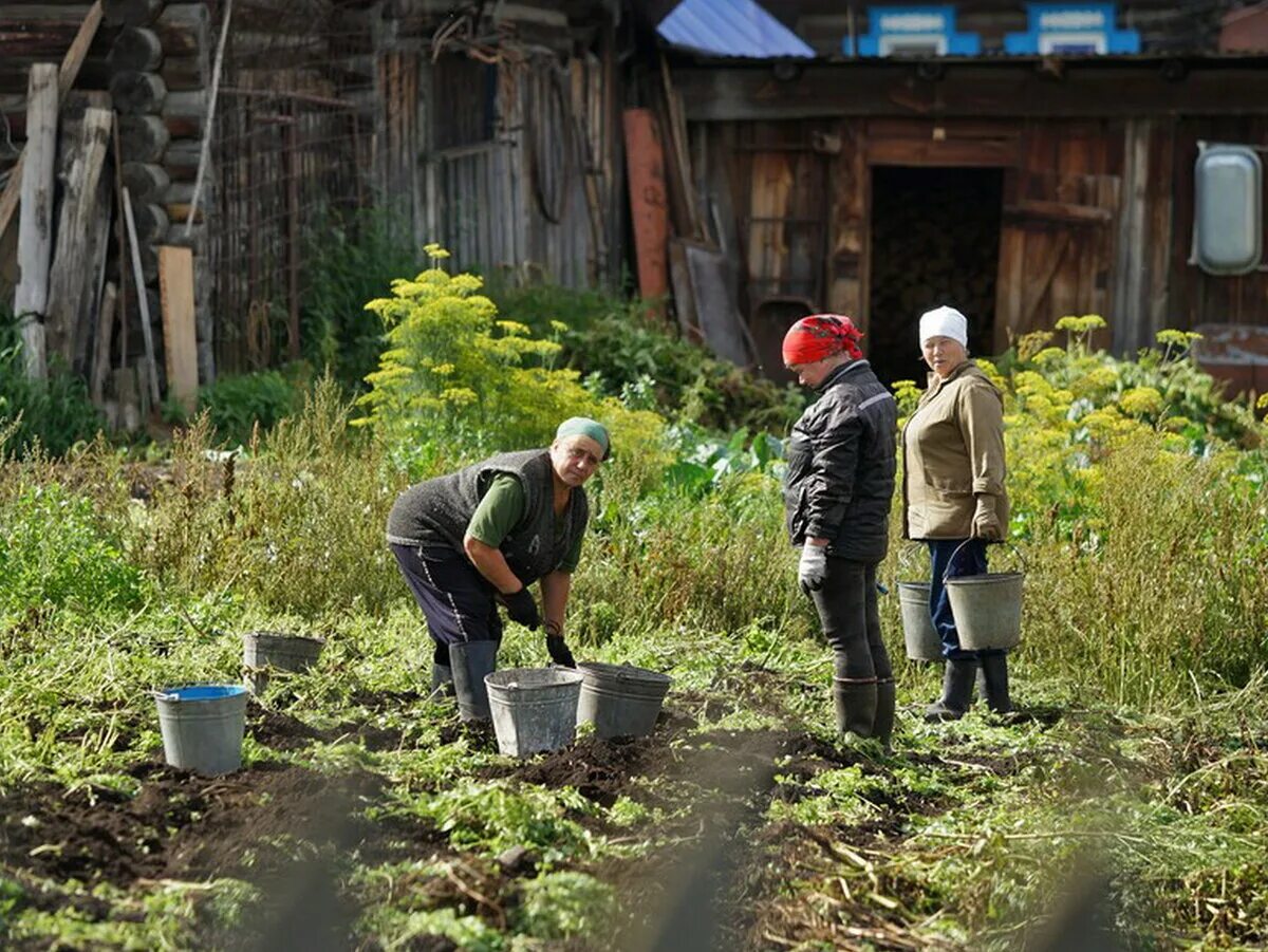 Деревня получать. Заброшенные деревни мо новольвовское. Домик у дороги. Деревня получать. Деревня белорецк.