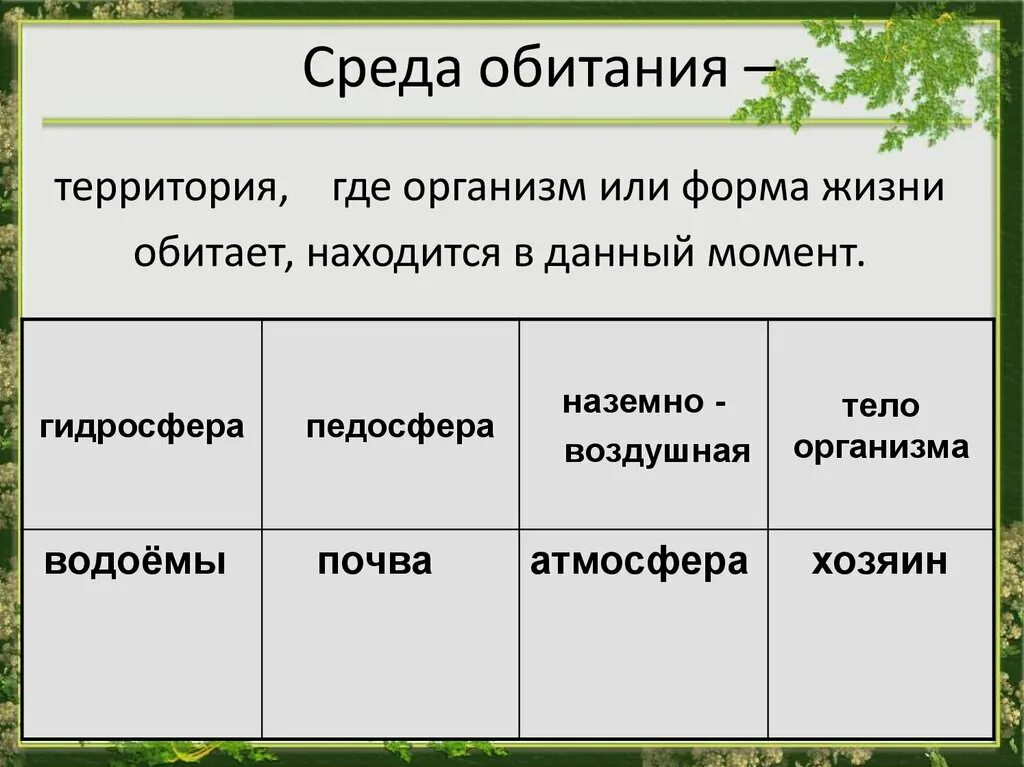 Среды обитания 11 класс биология. Среда обитания. Среды обитания организмов. Среды обитанияобитания. Типы среды обитания организмов.