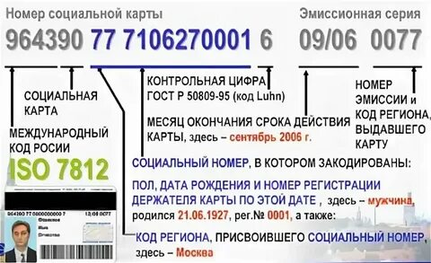 Как узнать номер социального фонда