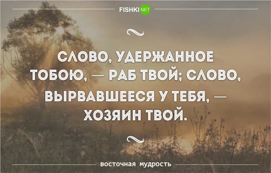 Мудрые восточные высказывания. Восточная мудрость. Мудрые высказывания Востока. Цитаты мудрецов Востока. Есть ли твоих словах