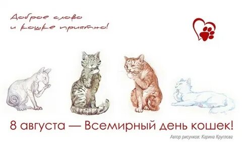 День кота в мире