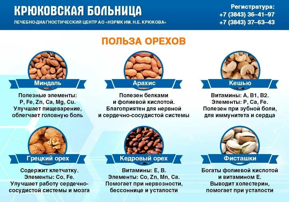 Чем полезны орехи для организма женщины. Польза арахиса для организма. Орехи польза. Какие орехи полезнее. Чем полезны орехи для организма женщины.