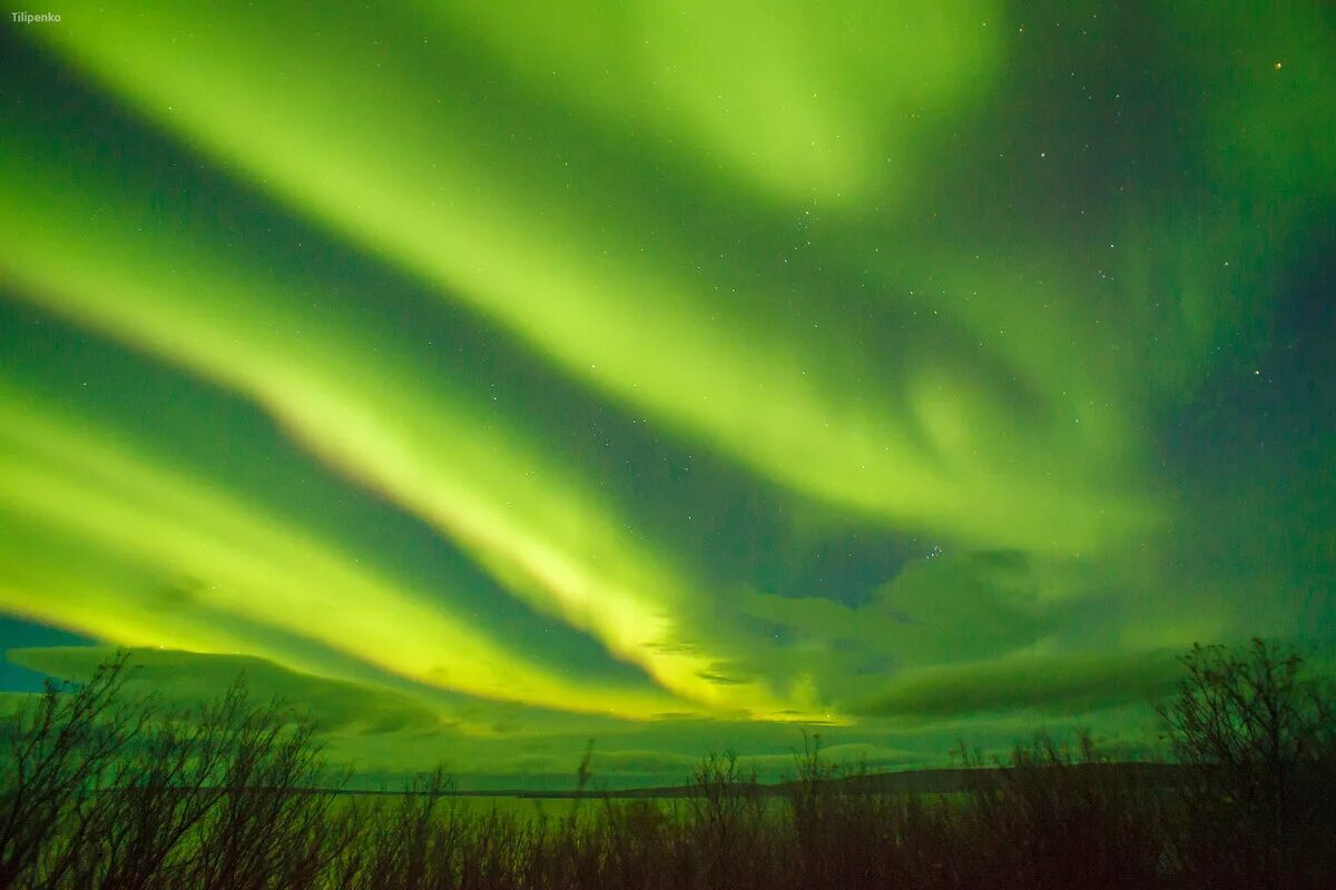 зеленые облака. зеленое небо. зеленое небо. териберка полярное сияние. северное сияние зеленое.